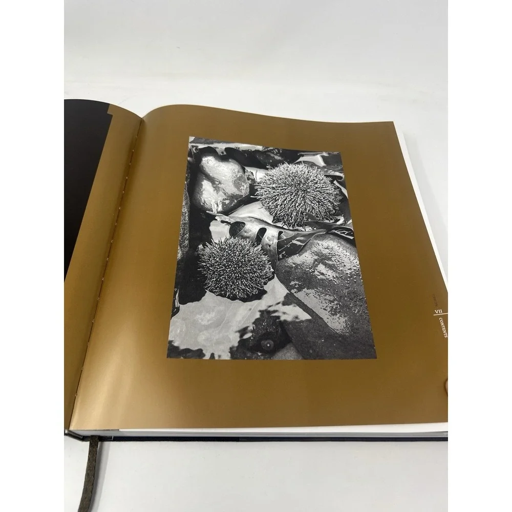 Origin: The Food of Ben‎ Shewry Cookbook